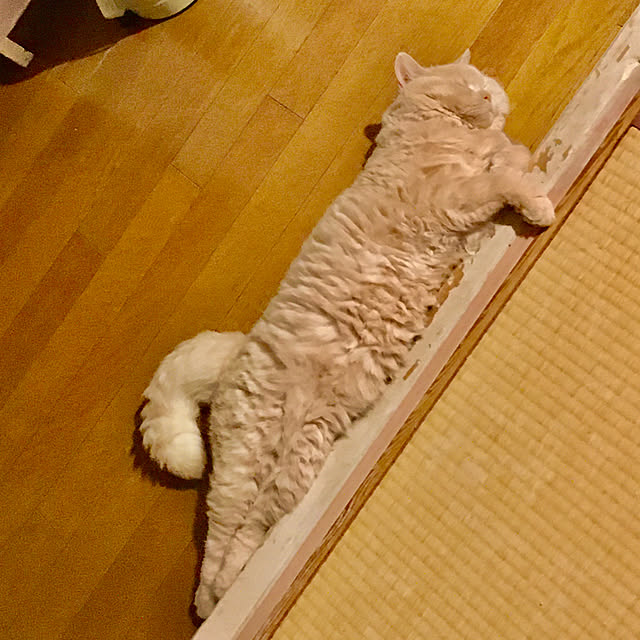 naokoさんの部屋