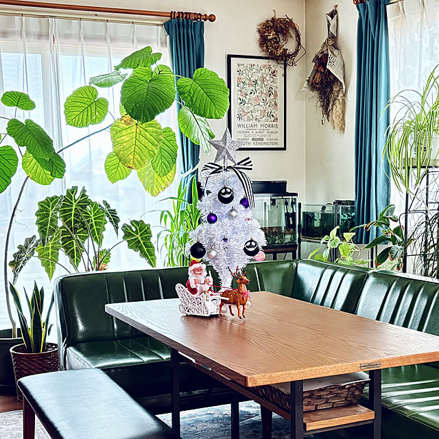 haruさんの実例写真