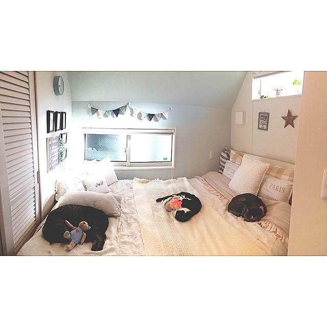 lovecatさんの実例写真