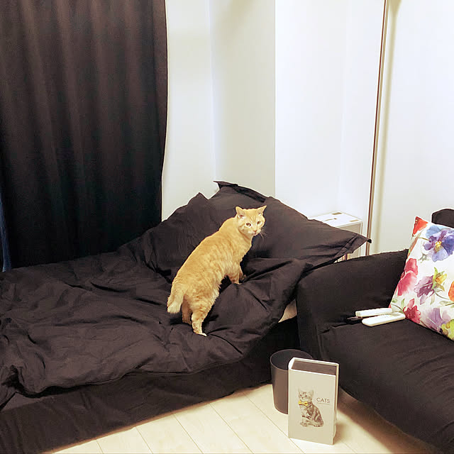 miyutaro35さんの実例写真