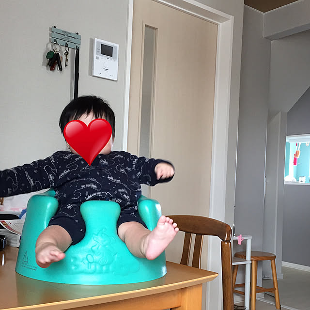 pu-chanさんの実例写真