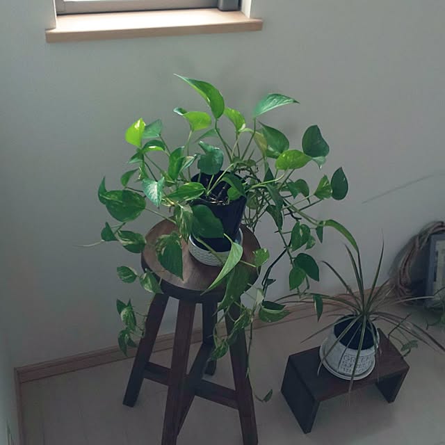KOHAKUさんの部屋