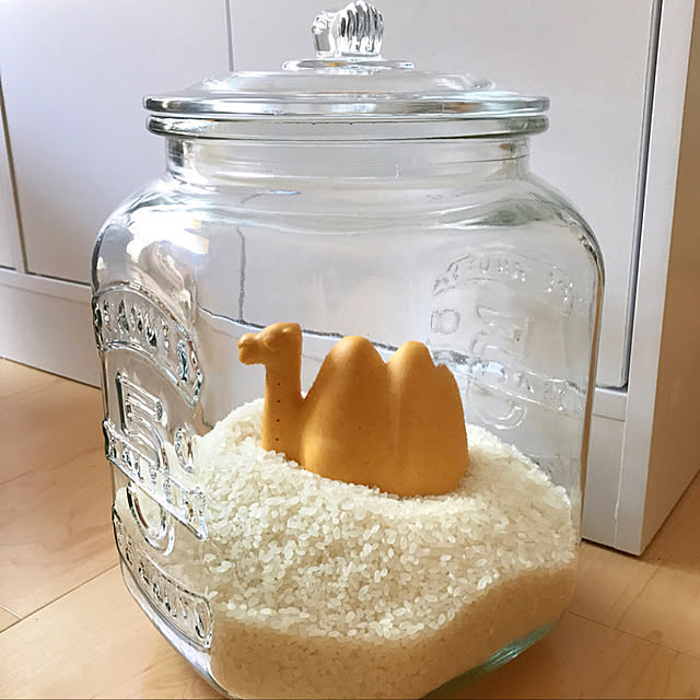 conatsuさんの実例写真