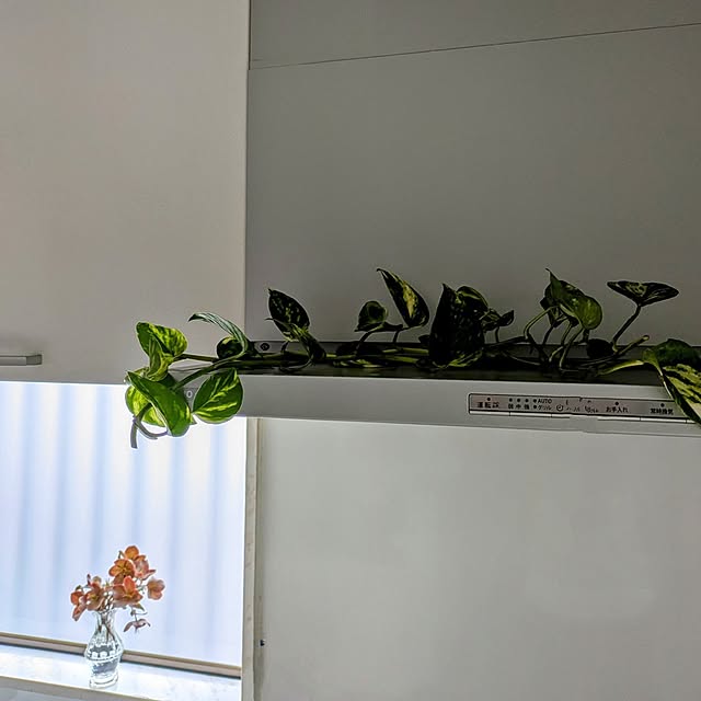 Renさんの部屋