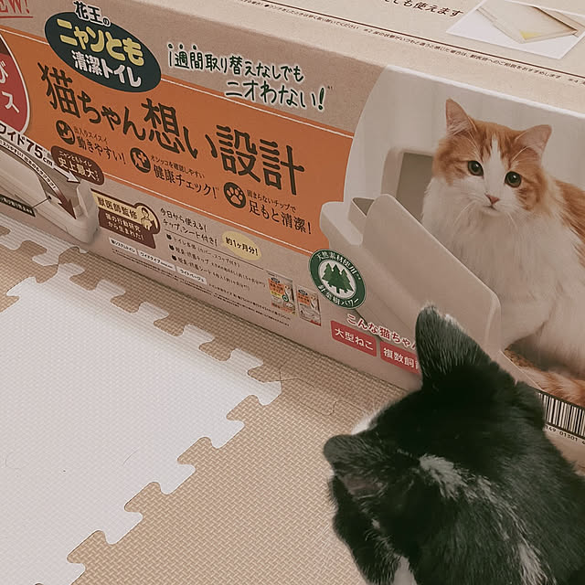 amandaさんの実例写真