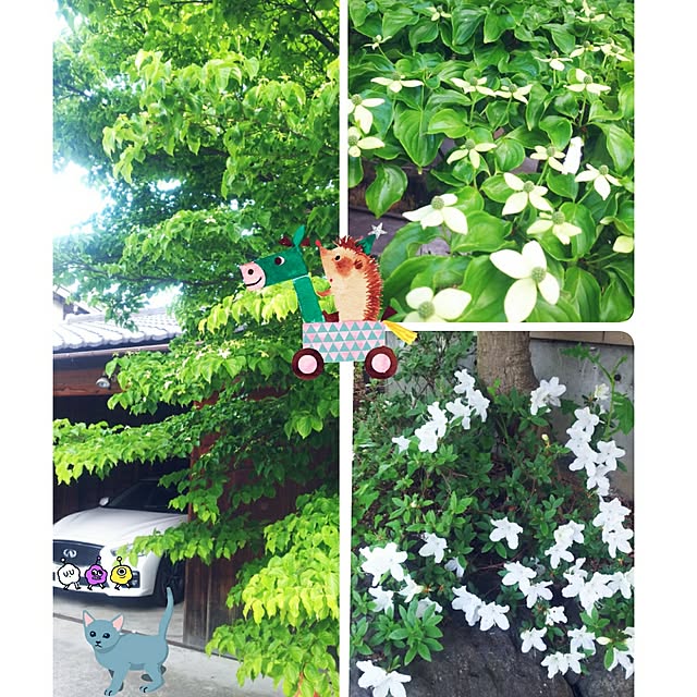 cherrycherryさんの実例写真