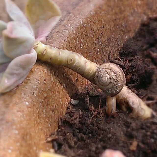 tibiさんの実例写真
