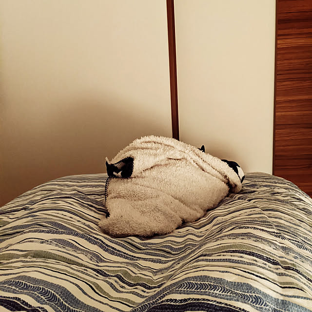 shizuponさんの実例写真