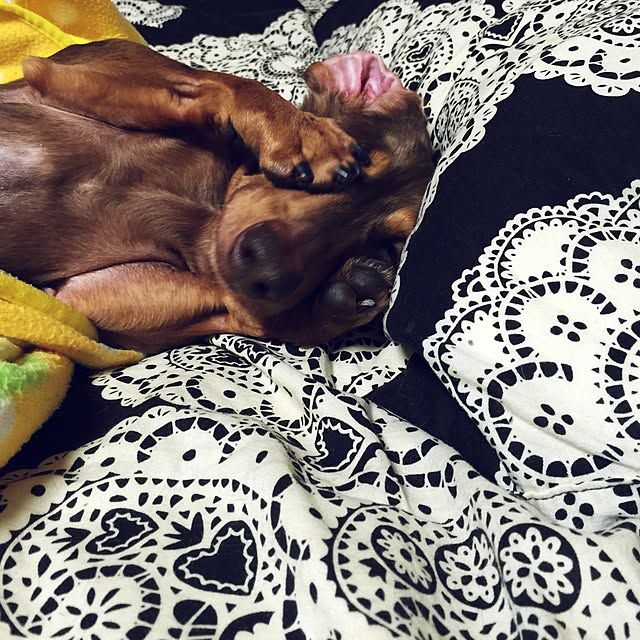 M.E.Gさんの実例写真