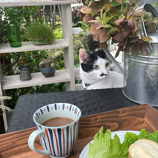 nobikoさんの実例写真