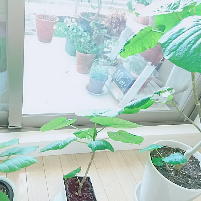 keiさんの実例写真