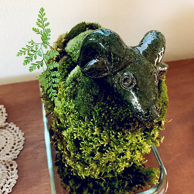 HAKOさんの部屋