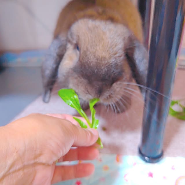 mariaさんの実例写真