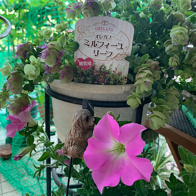 Aqettyさんの部屋