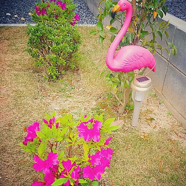shiiitanさんの実例写真