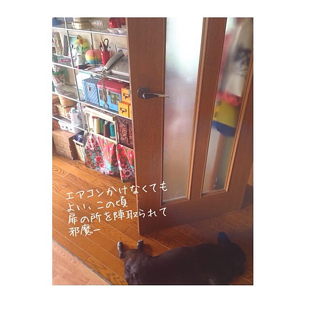 38coreさんの実例写真