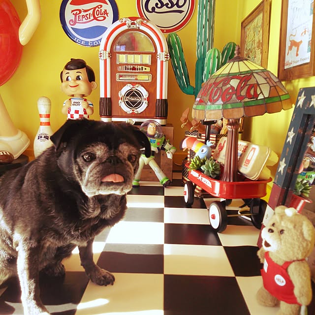 kuupugさんの実例写真