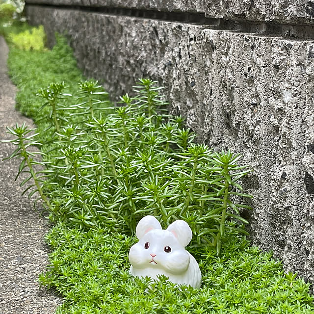 miechuraさんの実例写真