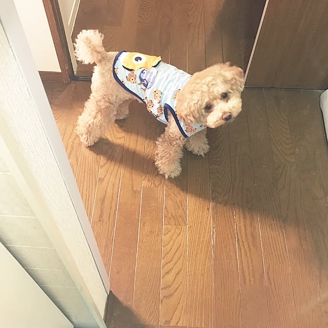 love_wancyanさんの実例写真