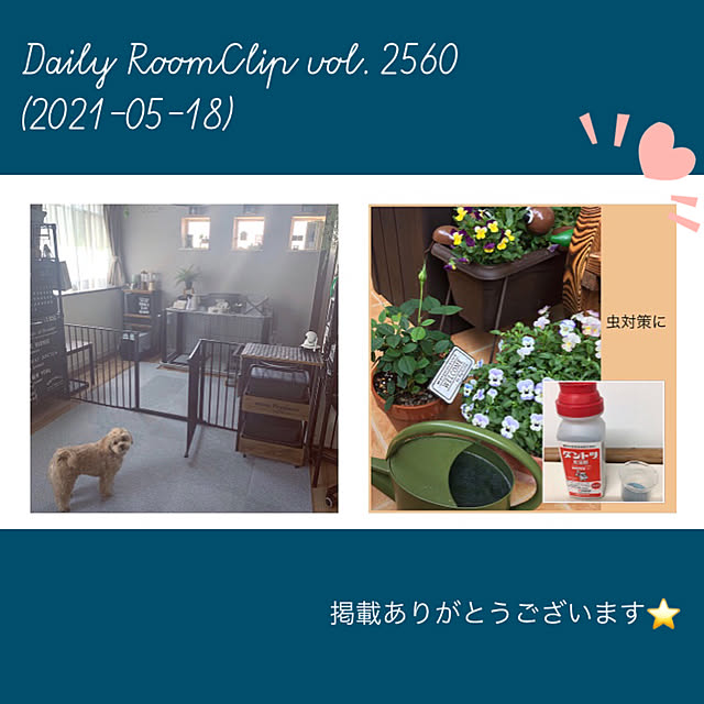 akezouさんの実例写真