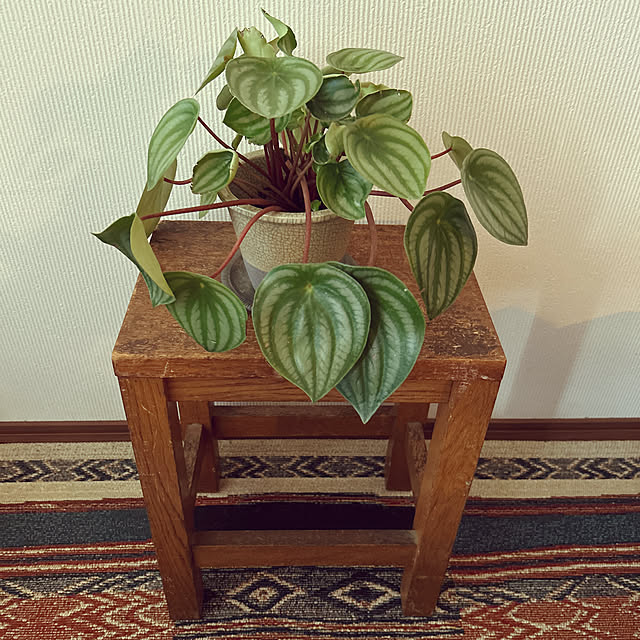 maaさんの実例写真