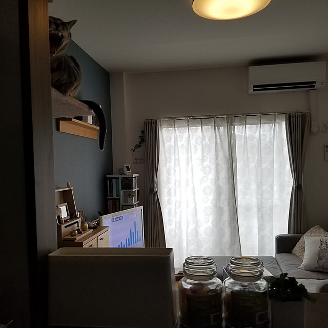 yukiさんの実例写真