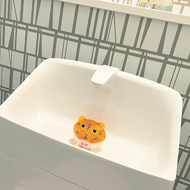 okapiさんの実例写真