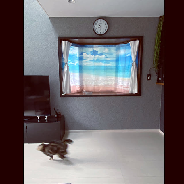 necomuraさんの実例写真
