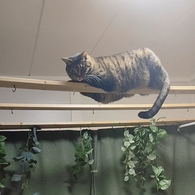 mori_6_12さんの実例写真
