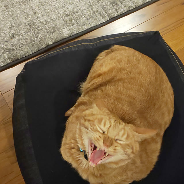 37さんの実例写真