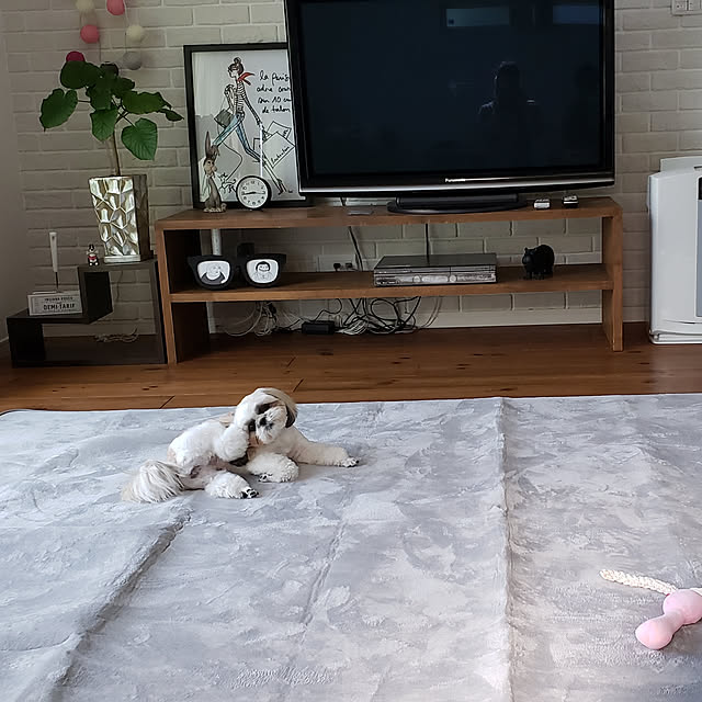 maipさんの実例写真