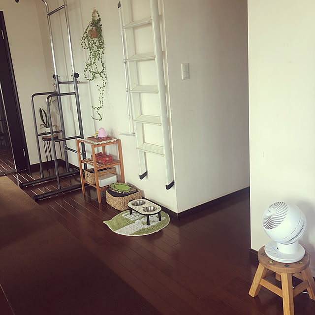 壁/天井/観葉植物のインテリア実例 - 2023-08-21 10:47:05