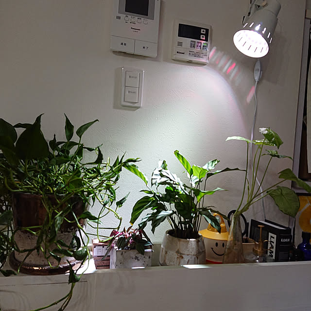 ouchuさんの実例写真