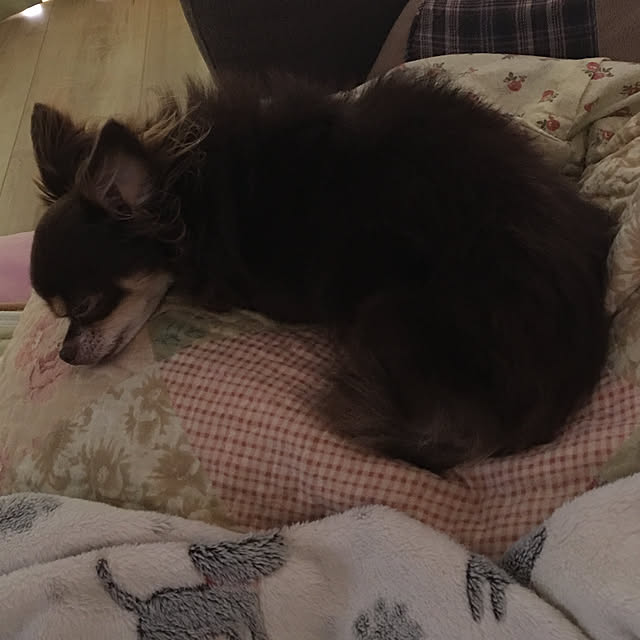 Sasaki Anaさんの実例写真