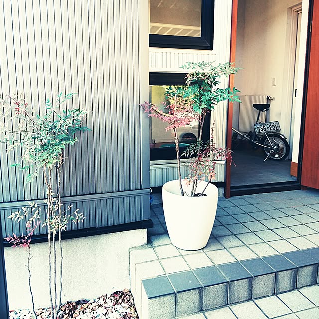 chakkyさんの実例写真