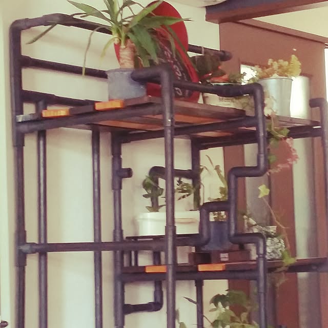 shinji19730515さんの実例写真