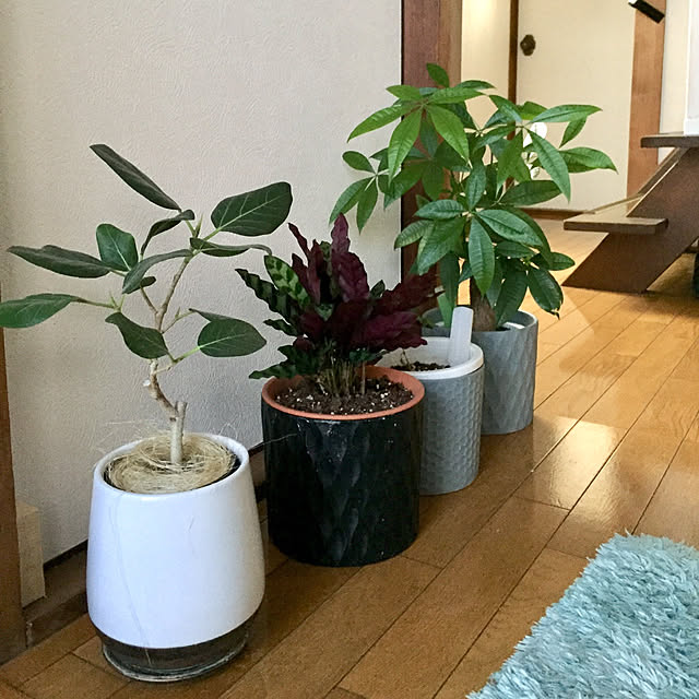 nana.7さんの実例写真