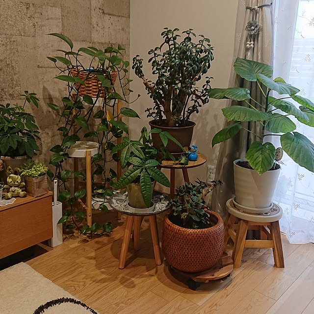 demekinさんの部屋