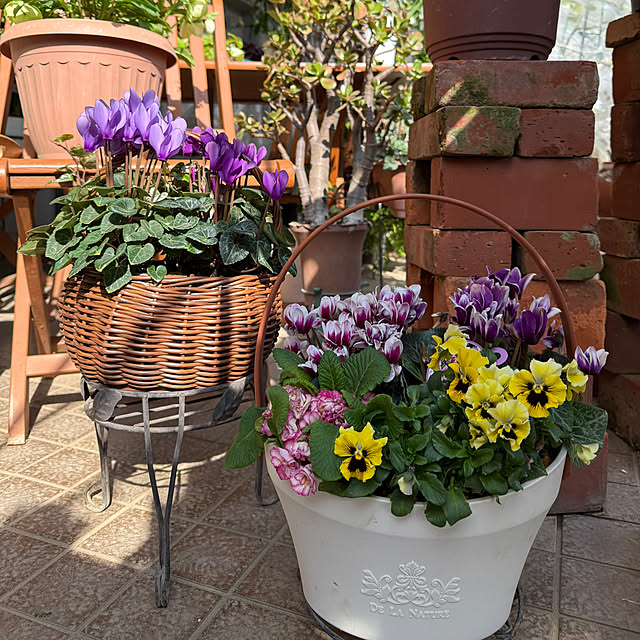 Aqettyさんの実例写真