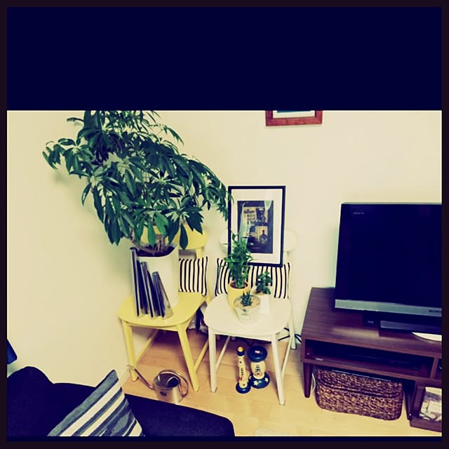 msss___さんの実例写真