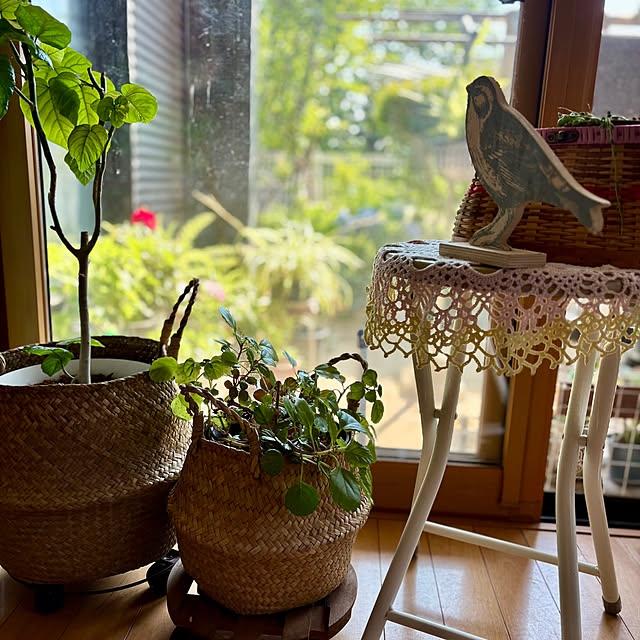 CoCo0617さんの部屋