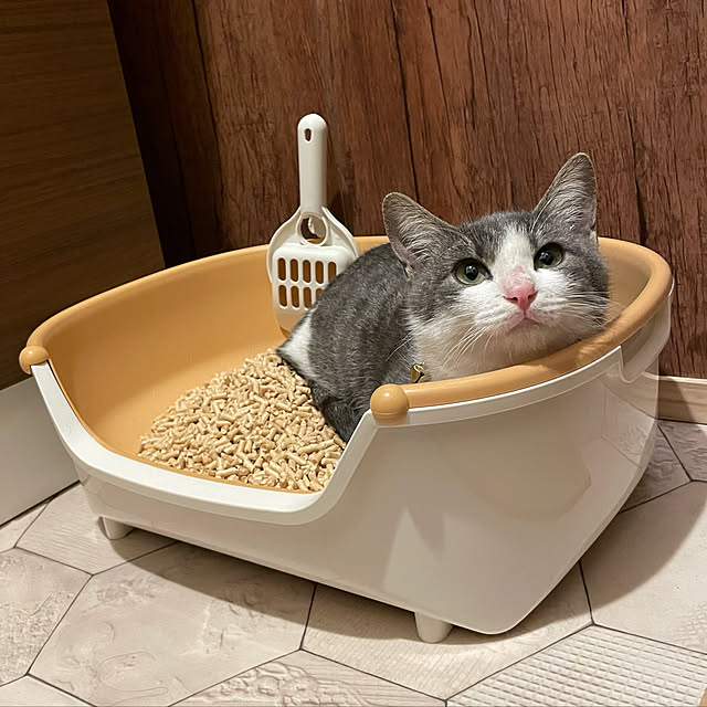 nekosamaさんの実例写真