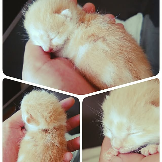 TUNさんの実例写真