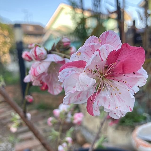 min_nimさんの実例写真