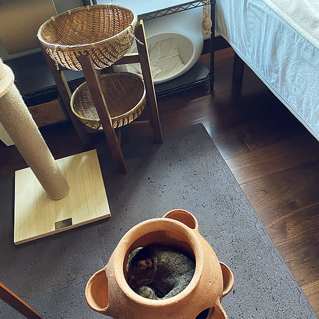 chokku23さんの実例写真