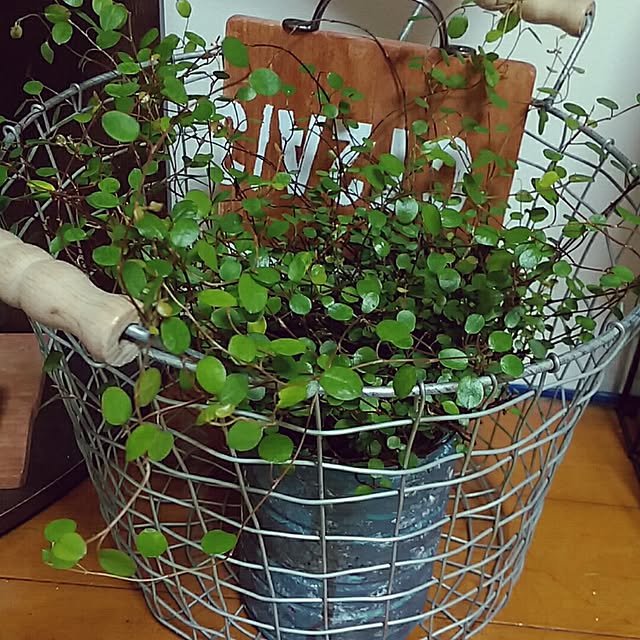 naoさんの実例写真