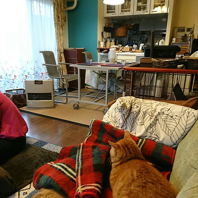 okyosan101さんの実例写真