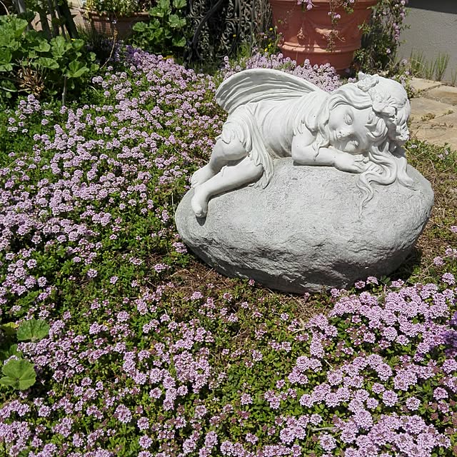 noraさんの実例写真