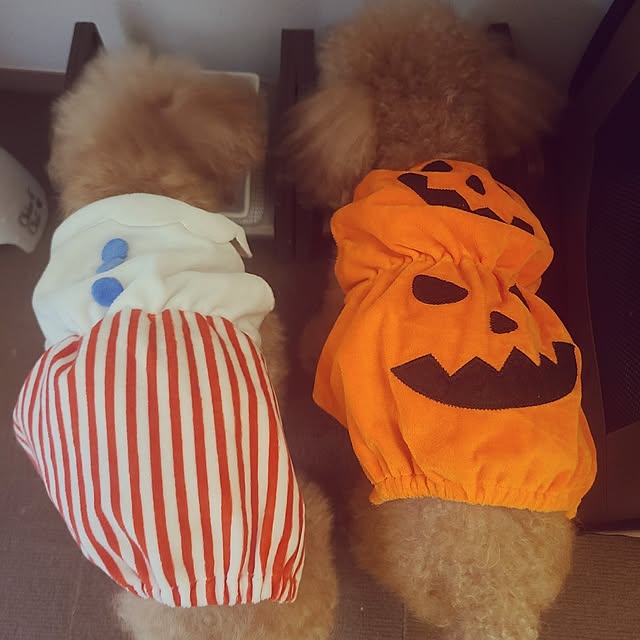 yumi.grandsaisonさんの実例写真