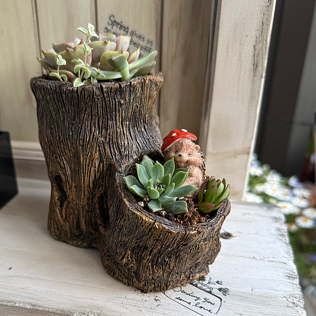 yumirilさんの部屋